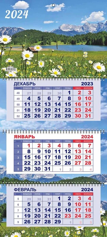 2024 Календарь настенный трехблочный 290*650 Бизнес- Ромашки