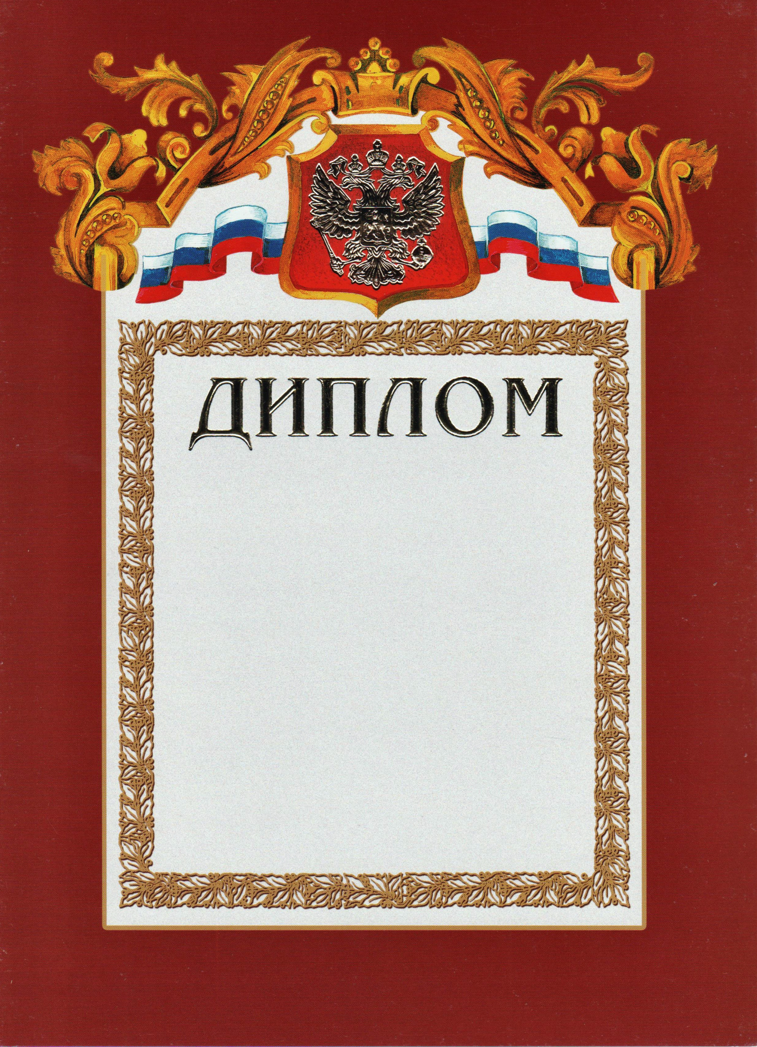 Диплом А4 бордовая рамка, герб, триколор