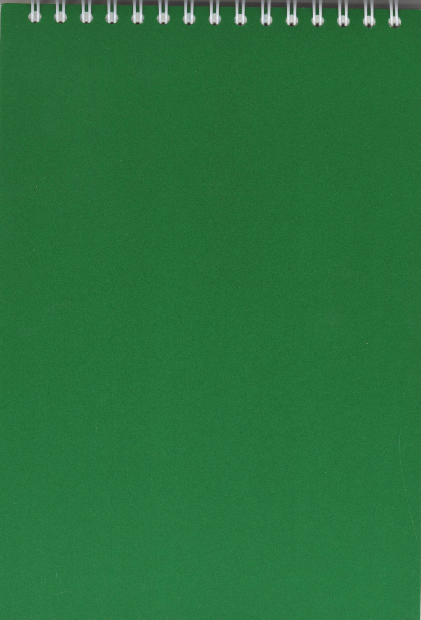 Блокнот на гребне А6 40л Зеленый 
