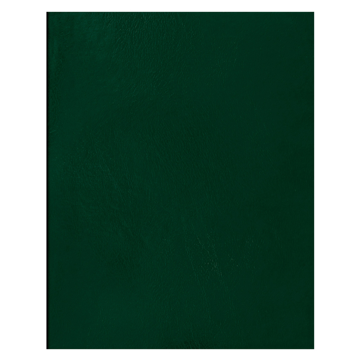 Тетрадь А4  80л клетка скрепка,BG бумвинил, зелёная 12324
