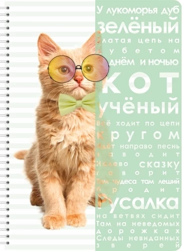 Тетрадь А4  80л клетка спираль LAMARK Кот ученый,пластиковая обложка