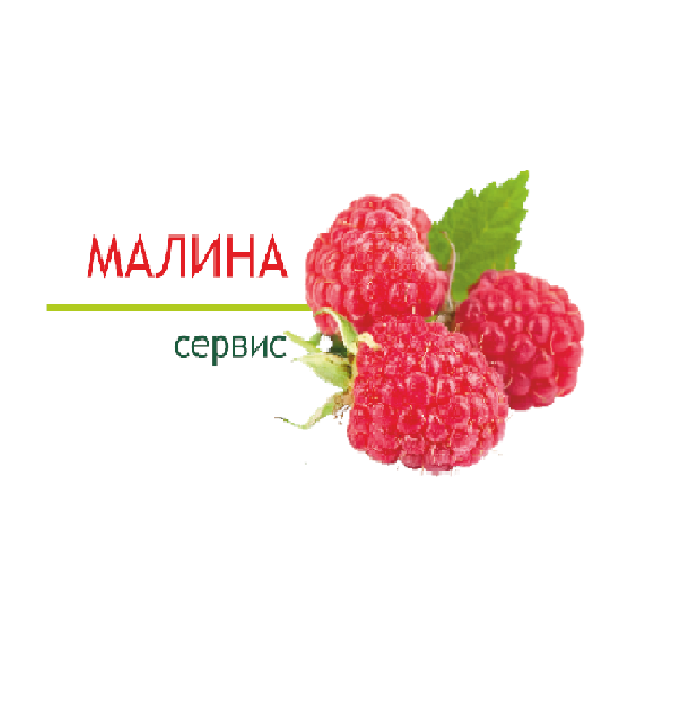 Гуашь художественная Гамма, белая цинковая, 40мл