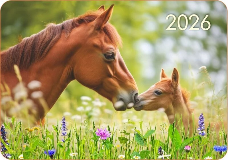 2026 Календарь карманный 70х100мм "Год лошади - Семья"