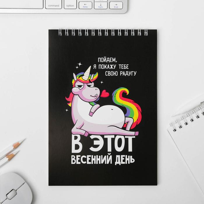 Тетрадь А5 48л  клетка,скрепка, Настроение Енот 190г,ВД лак